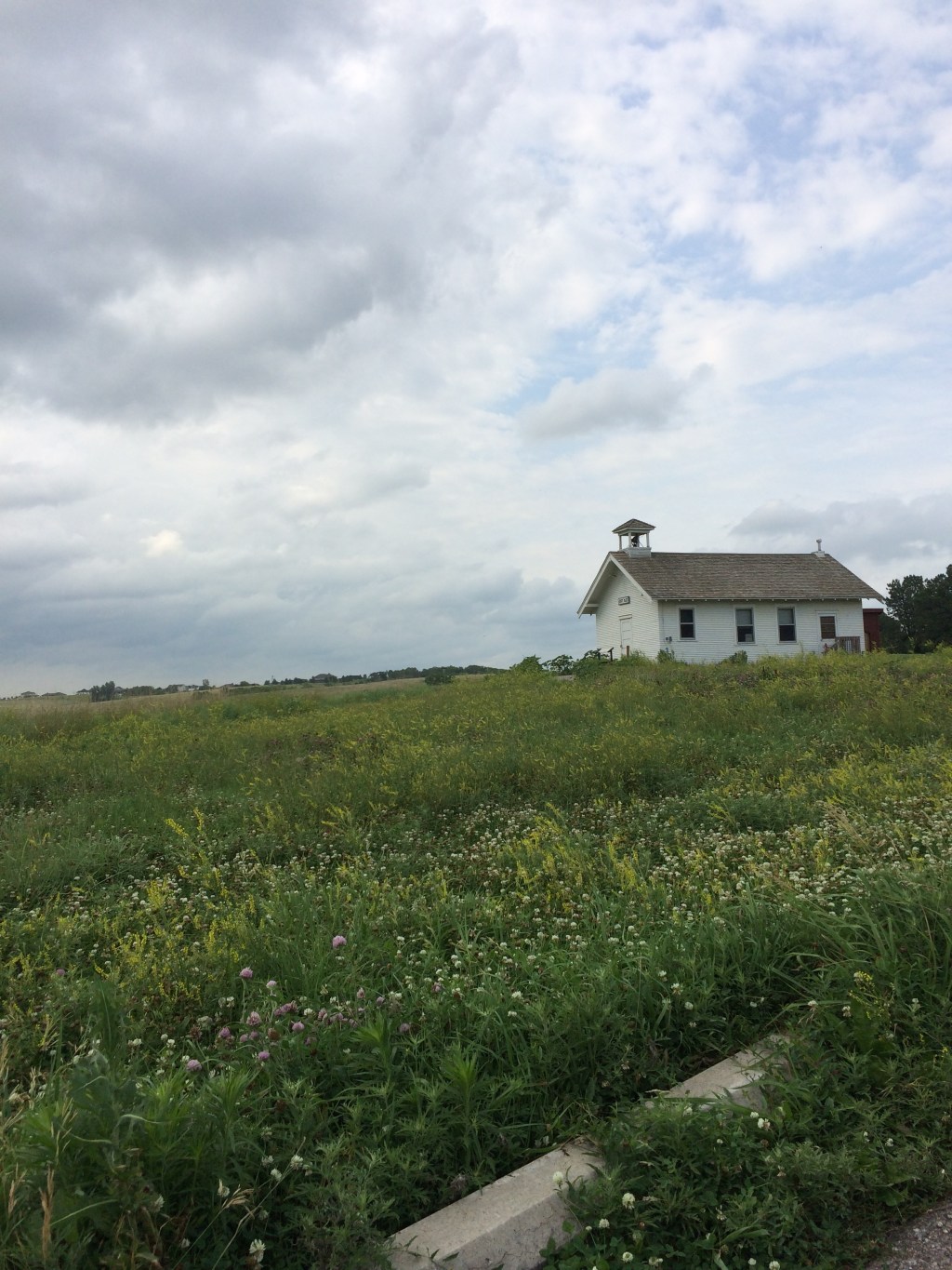 ROOTS: Where My Roots&nbsp;Began