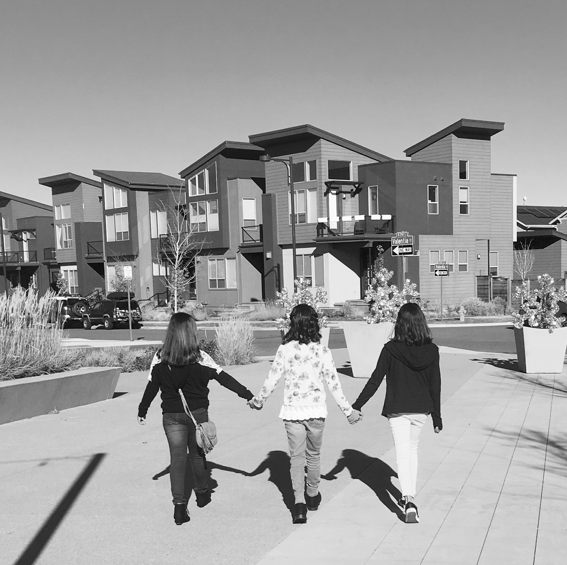 Noticing Our Neighbors