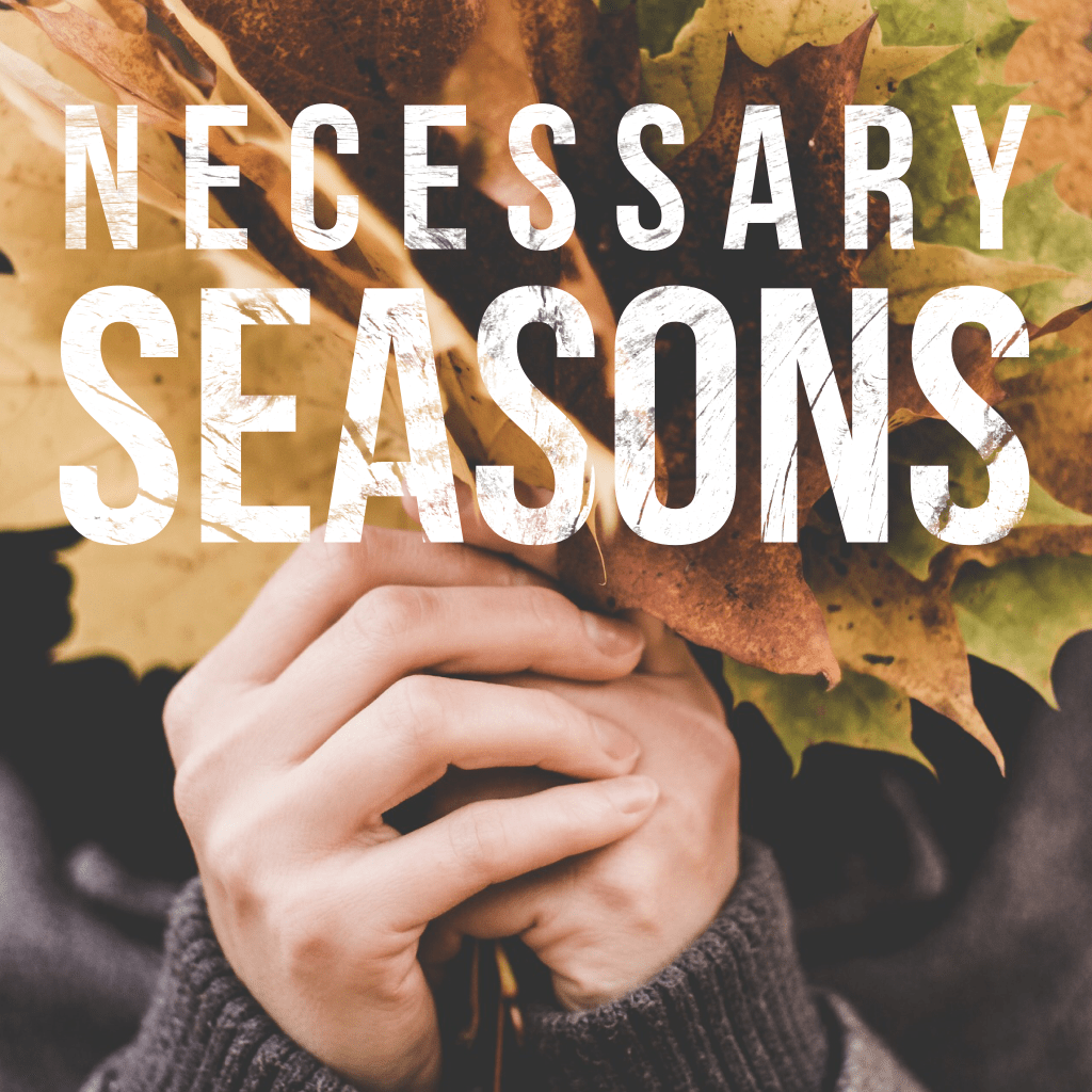 New Series: Necessary&nbsp;Seasons