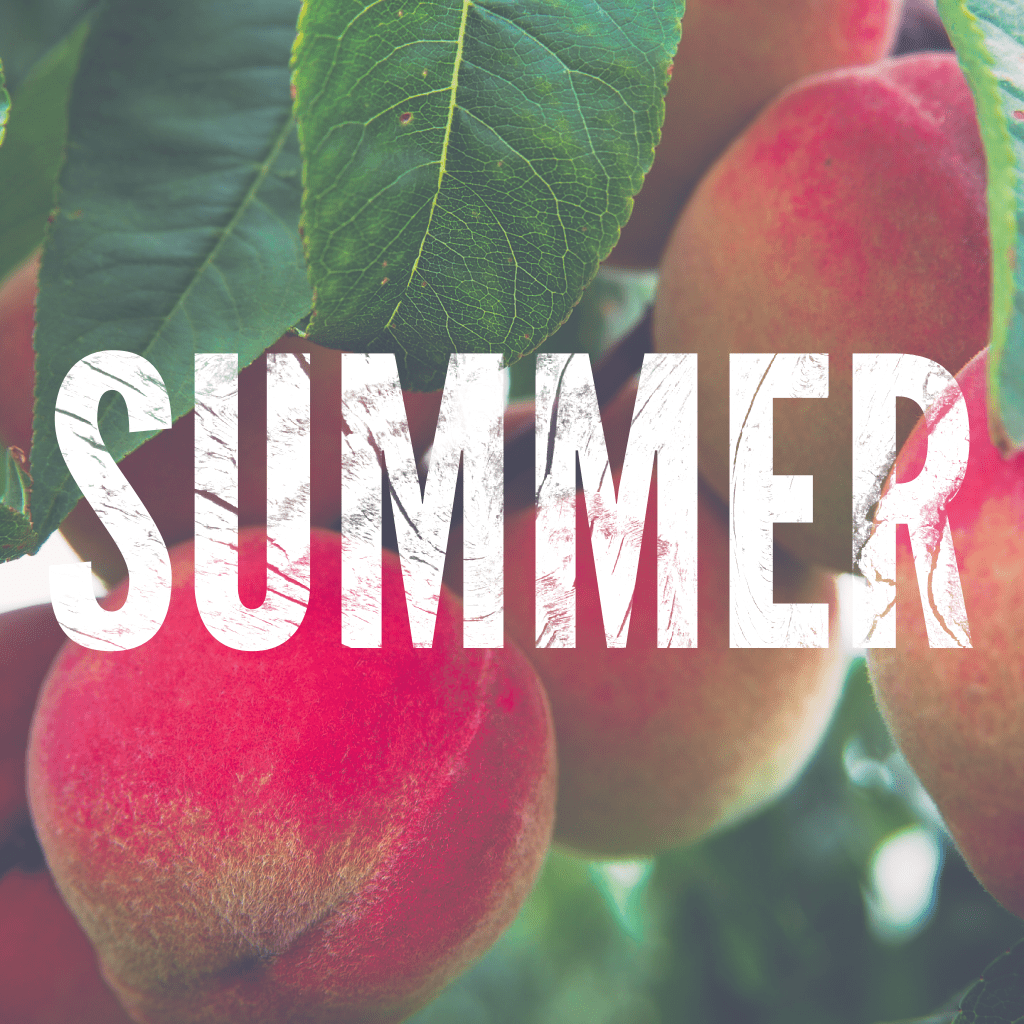 Necessary Seasons: Summer
