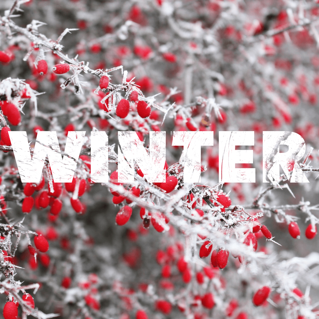 Necessary Seasons: Winter