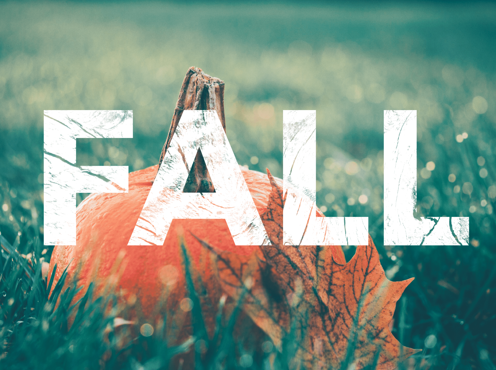 seasons blog:fall image