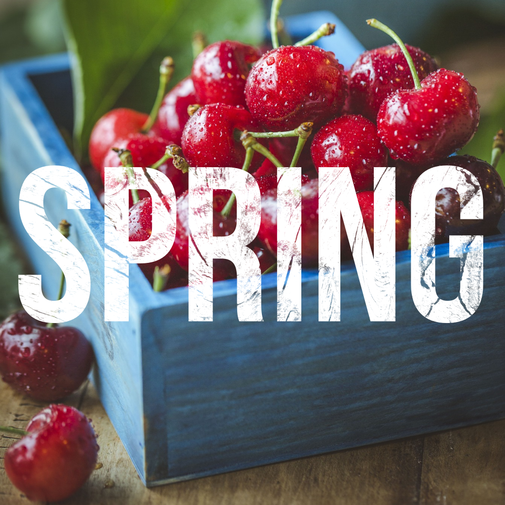 Necessary Seasons: Spring